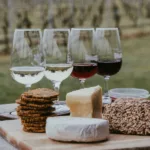 degustation-vin-verres-fromages